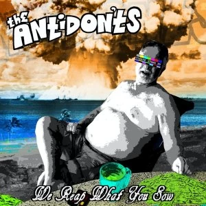 Image of The Antidon'ts - We Reap What You Sew Cassette