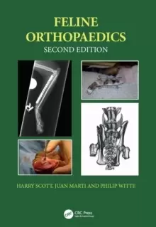 Image of Feline Orthopaedics
