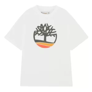 Image of Timberland Earthkeepers By Raeburn All Gender Logo T-Shirt In White White Men, Size M