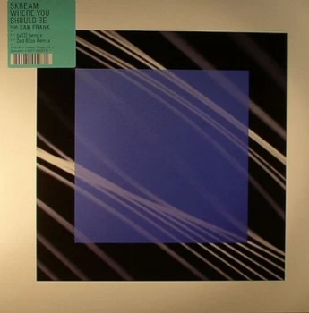 Image of Where You Should Be by Skream & Sam Frank Vinyl Album