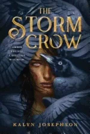 Image of storm crow