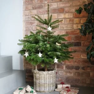 Image of Rattan Christmas Tree Basket 32cm Natural