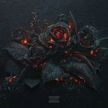 Image of Future - EVOL Vinyl