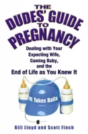 Image of dudes guide to pregnancy