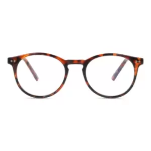 Image of Prive Revaux Maestro Glasses