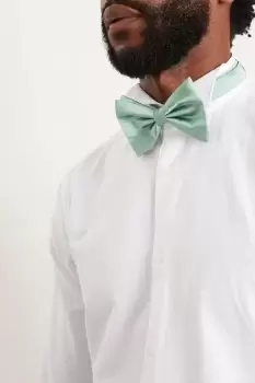 image of Sage Silk Bow Tie