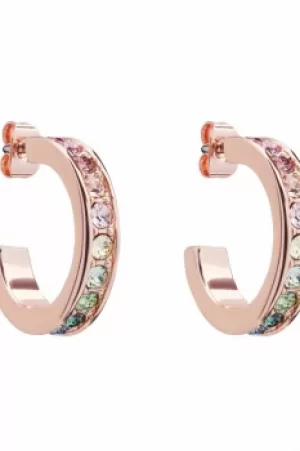 image of Ted Baker Jewellery Seanna Small Crystal Hoop Earring TBJ2111-24-67