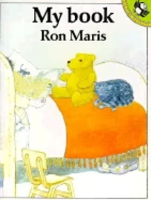 Image of my book