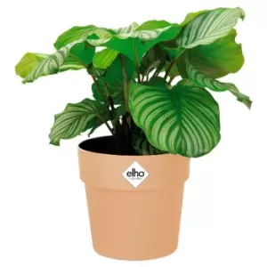 Image of Plant Pot Nude 7.1x6.7 IN 2,9L