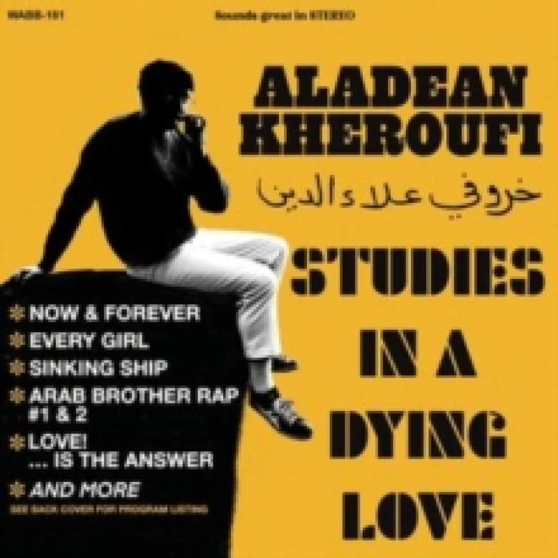Image of Studies in a Dying Love Vinyl