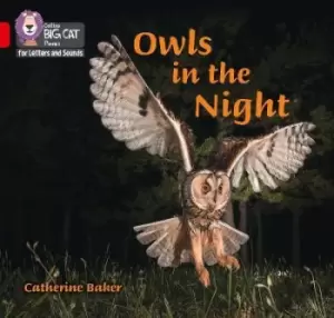 Image of Owls in the Night by Catherine Baker
