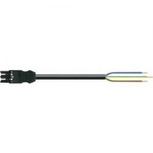 Image of Mains cable Mains socket Cable open endedTotal number of pins 2 PEBlackWAGO2 m