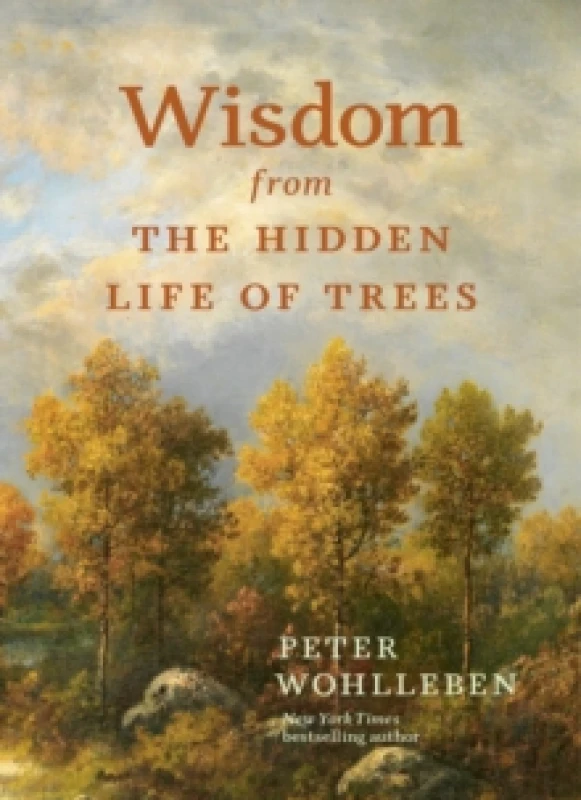 Image of wisdom from the hidden life of t 9781778401404
