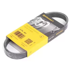 Image of CONTITECH V-ribbed belt 5PK491 Serpentine belt,Auxiliary belt VW,AUDI,SKODA,Golf V Schragheck (1K1),TOURAN (1T1, 1T2),Passat Variant (3C5)
