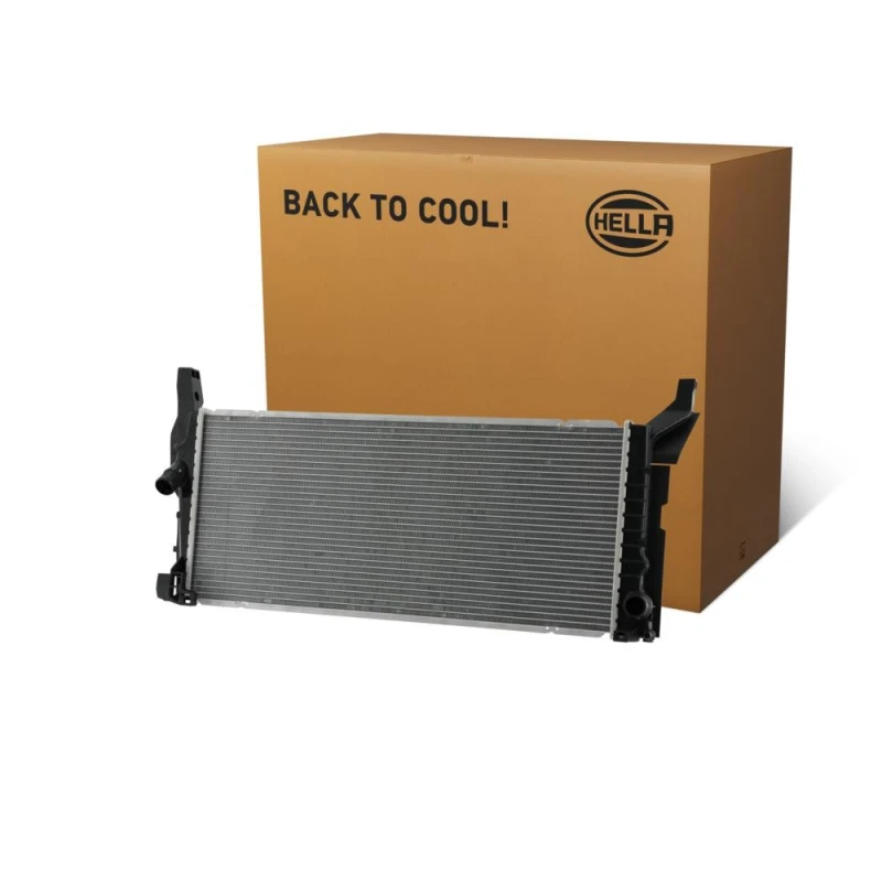 Image of HELLA Engine radiator HELLA 8MK 366 301-941