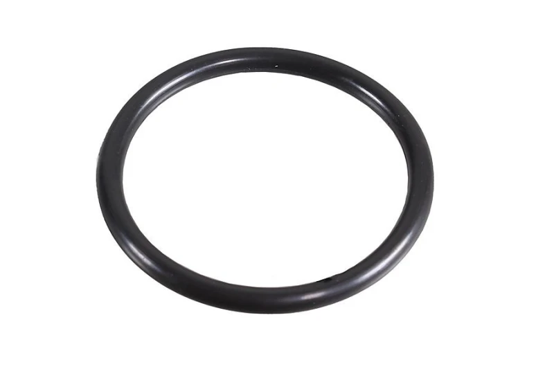 Image of Seal Ring METZGER 2430067