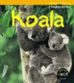 Image of Koala by Rod Theodorou Paperback