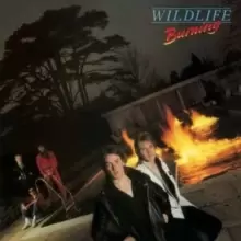 Image of Burning (Collector's Edition)