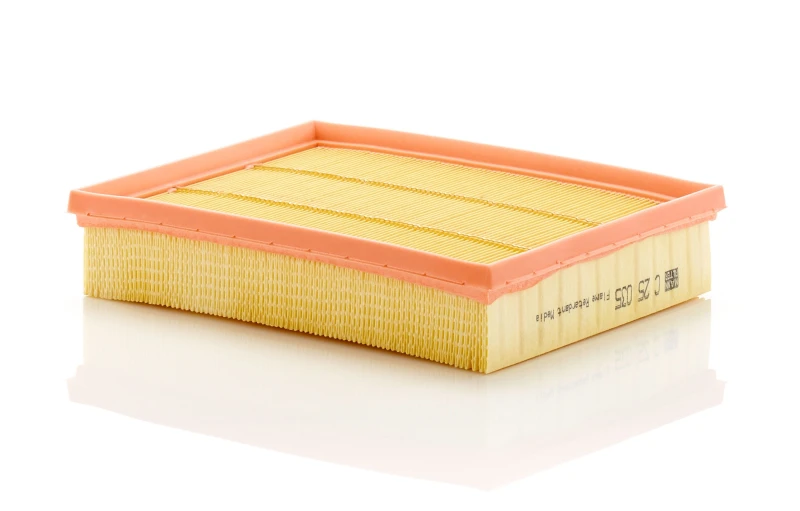 Image of Air filter MANN-FILTER C 25 035