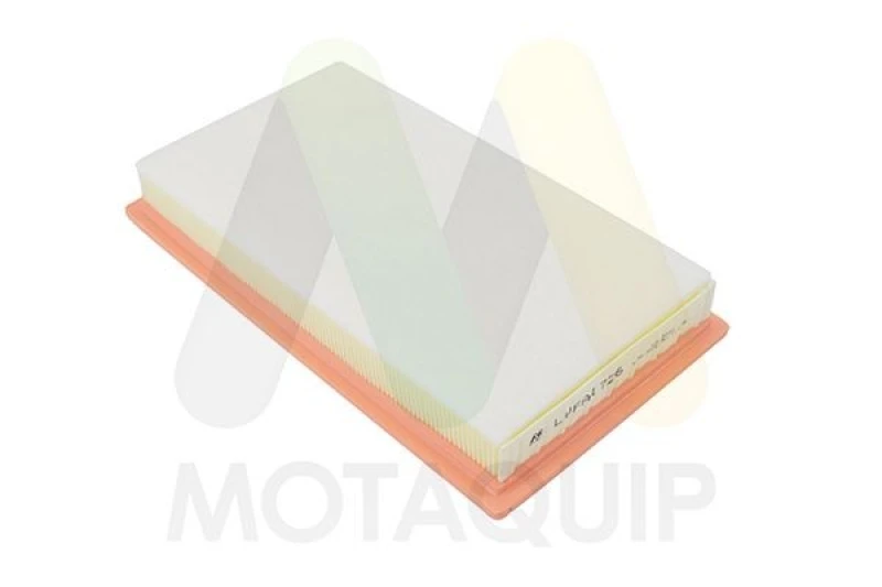 Image of MOTAQUIP Air filter MOTAQUIP LVFA1726
