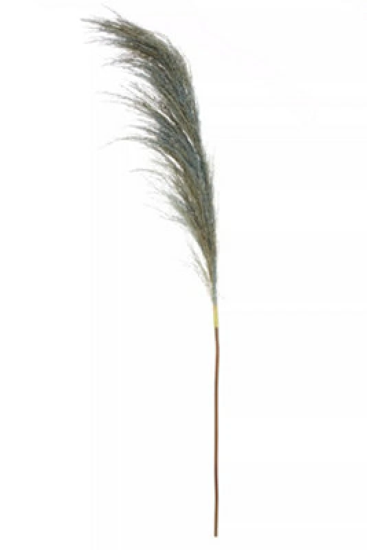 Image of Premier Housewares Fiori Pampas Grass Blue Stem, Natural Charm Blue