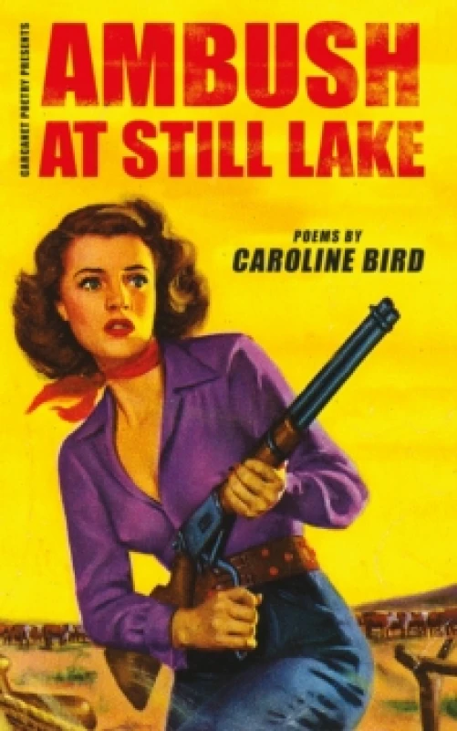 Image of Ambush at Still Lake Paperback / softback