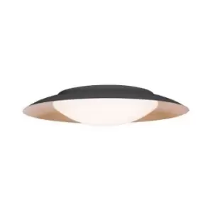 Image of Larissa Lighting - Larissa Galatsi Ceiling Light 20W 3000K Black - Gold Leaf