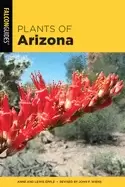 Image of plants of arizona
