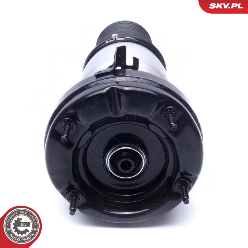 Image of ESEN SKV Air suspension strut ESEN SKV 58SKV069