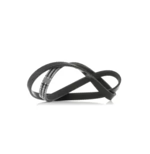 Image of RIDEX V-ribbed belt AUDI,FIAT,PEUGEOT 305P0033 0060513478,195510710300,60513478 60513579,71739622,079903137E,6453CV,6453FK,6453TZ,500344281,60513579