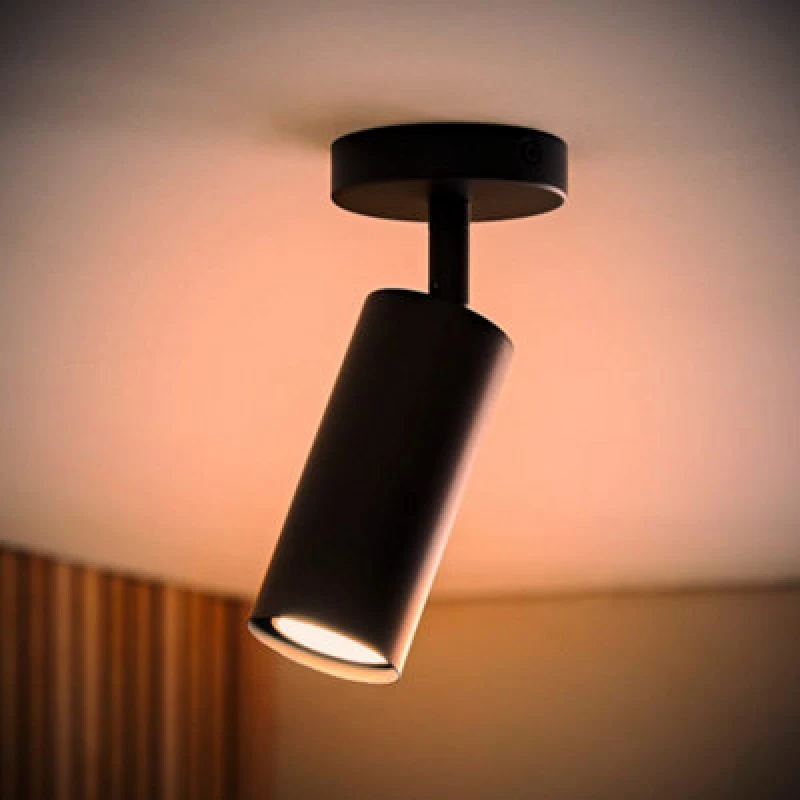 Image of Valuelights Taylor Matte Black Tube Single Adjustable Ceiling Spotlight And Bulb