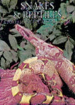 Image of Snakes and Reptiles Book