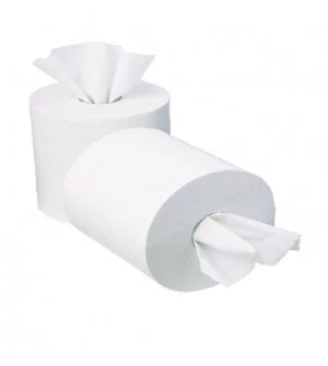 image of 2Work Centrefeed Roll 1 Ply 195mm x 120m (Pack of 12)