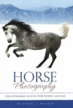 Image of horse photography the dynamic guide for horse lovers