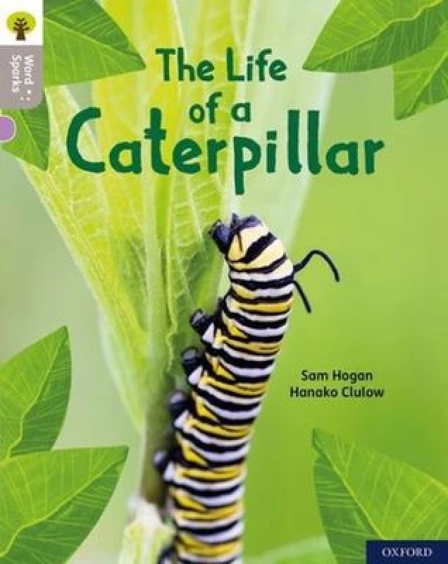 Image of Sam Hogan Oxford Reading Tree Word Sparks: Level 1: The Life of a Caterpillar Book Multi unisex