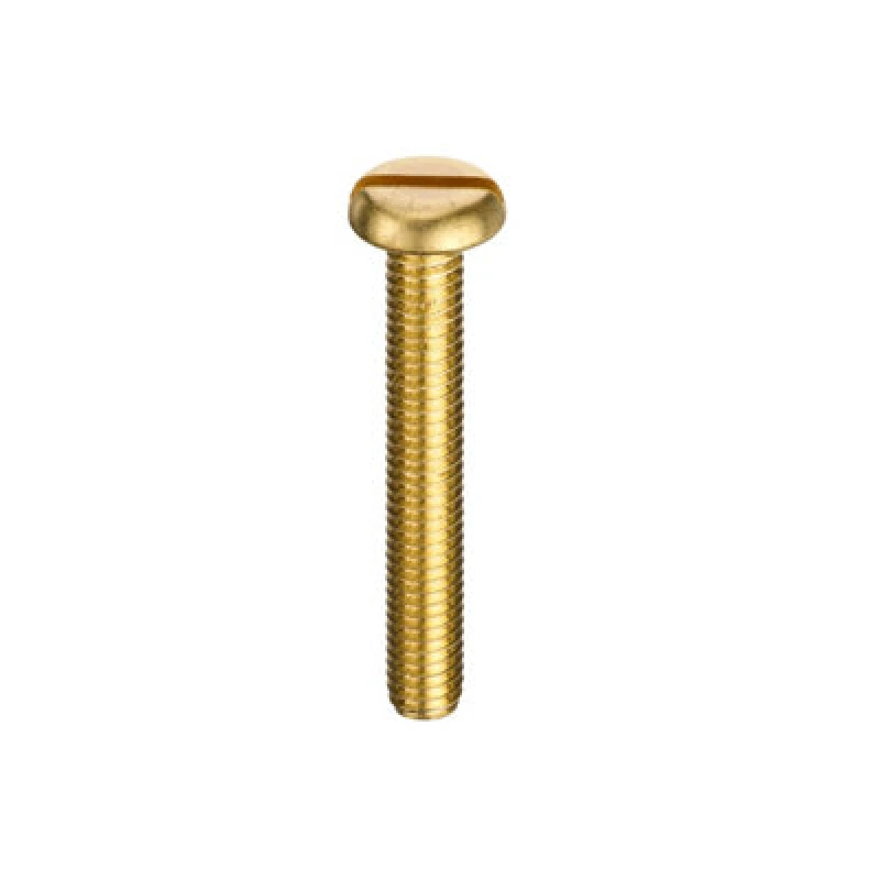 Image of Unifix Brass Machine Screws Slotted Pan Head M6 X 10 - Q608500000600010000