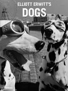 Image of elliott erwitts dogs