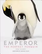 Image of emperor the perfect penguin