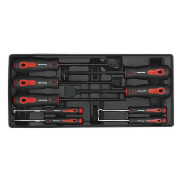 image of Sealey TBT23 Tool Tray with Scraper & Hook Set 9pc