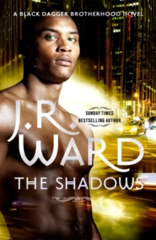 Image of The Shadows : Number 13 in series Paperback / softback