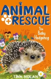 Image of The Baby Hedgehog