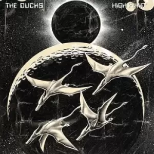 Image of High Flyin by The Ducks Vinyl Album