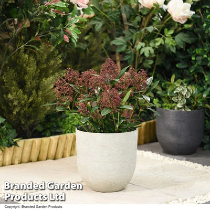 Image of Garden Gear Stone Effect Garden Planter In Ivory For Outdoor Patio, Weatherproof Plastic (X2)
