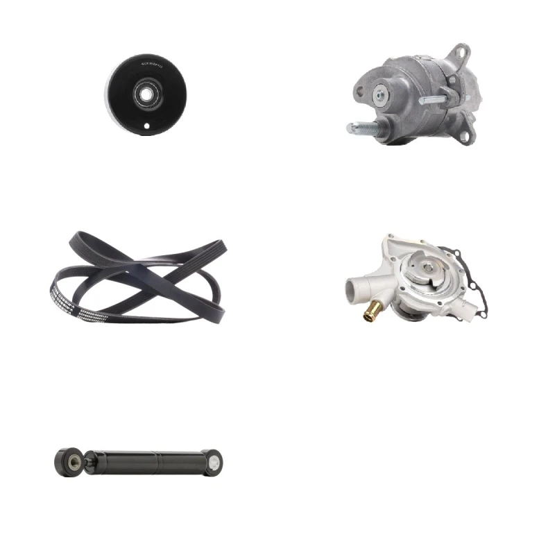 Image of RIDEX 4172P0130 Water Pump + V-Ribbed Belt Kit Water Pump + V-Ribbed Belt Kit (4172)