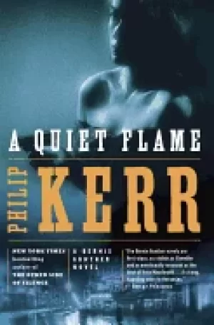 Image of quiet flame