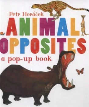 Image of Animal Opposites by Petr Horacek Hardback