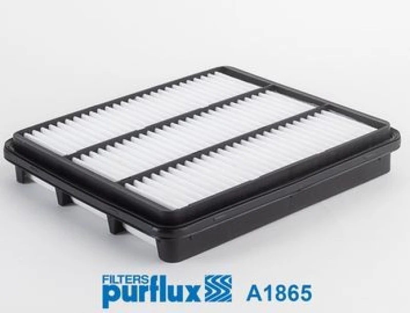 Image of Air filter PURFLUX A1865