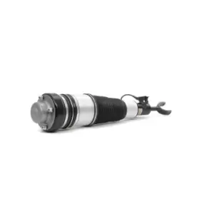 Image of RIDEX Air Spring Strut 4118A0012 AUDI,A6 Avant (4F5, C6),A6 Limousine (4F2, C6),A6 Allroad (4FH, C6)