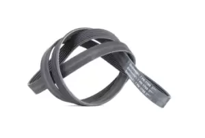 Image of CONTITECH V-ribbed belt OPEL,RENAULT,NISSAN 7PK1795 1172000Q1V,1172000Q5L,1172000QAZ 11720AW300,1195000Q0B,1195000QAC,4405280,4418675,9121113,93195485