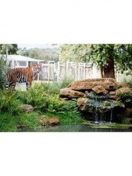 image of Virgin Experience Days Up-Close Tiger Encounter For Two At Woburn Safari Park, Bedfordshire